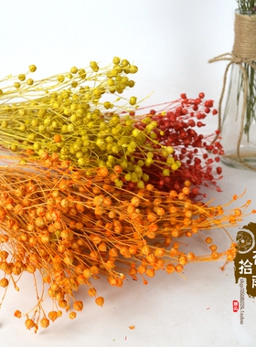 相思豆拍摄道具唯美风天然干花