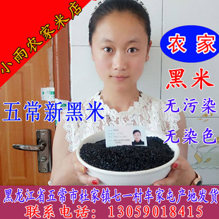 东北特产 黑龙江五常黑米 ，新米，纯黑大米 绿色黑大米500克