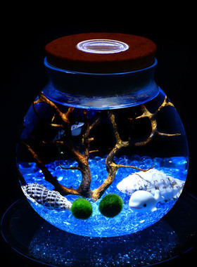 带灯海藻球玻璃花瓶 微景观生态瓶 软木塞带灯圆形玻璃密封罐
