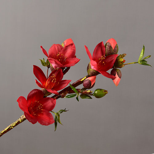 高档仿真攀枝花木棉花玉兰花装饰