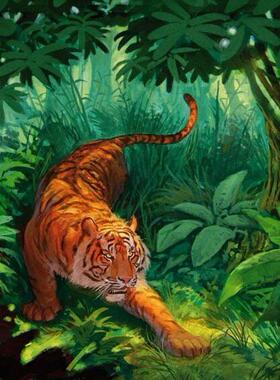 diy数字油画抽象风景静物填色绘油彩装饰画 躺在树林里的老虎