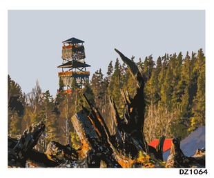 DIY数字油画包邮抽象填色油画家居饰品木头营寨