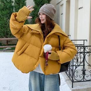 绒绒服外白2B196 61羽鸭套