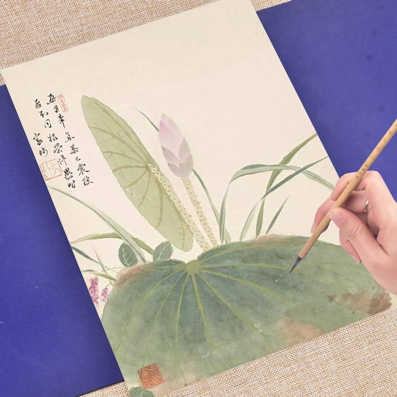 c10云母宣纸 花卉荷花兰花石榴工笔画白描底稿图案国画线描 画稿