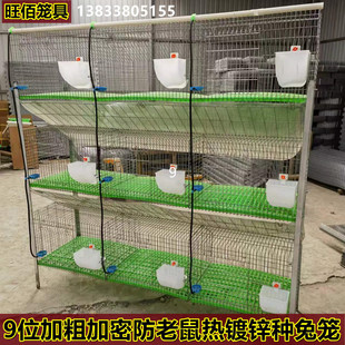 兔笼 养殖9位种兔笼子加粗加密免清粪热镀锌兔子笼母繁殖大子母笼