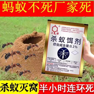 10包蚂蚁药除红蚁清红火蚁饵小黄黑马蚁净达豪马义码蚁药灵粉广昆
