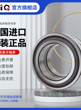 德国进口EIQ轴承SL 04 NNF 5038 5040 5044 5048 ADA-ADB-2LSV-PP