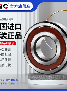 德国进口EIQ轴承6202 6203 6204 6205 6206 6207 6208 6209TB.P63