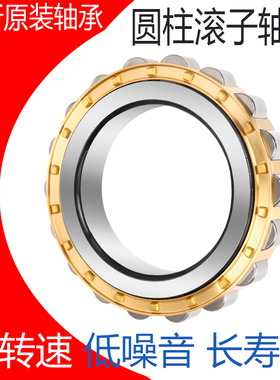 洛阳轴承RN 204 205 206 207 306 307 308 309 310 311 218 219 M