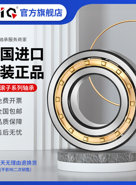 进口EIQ轴承20304 20305 20306 20307 20308 20309-K-TVP-C3-MB