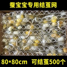 蚕宝宝吐丝结茧网专用结茧网大网片小网片质保10年专用养蚕工具