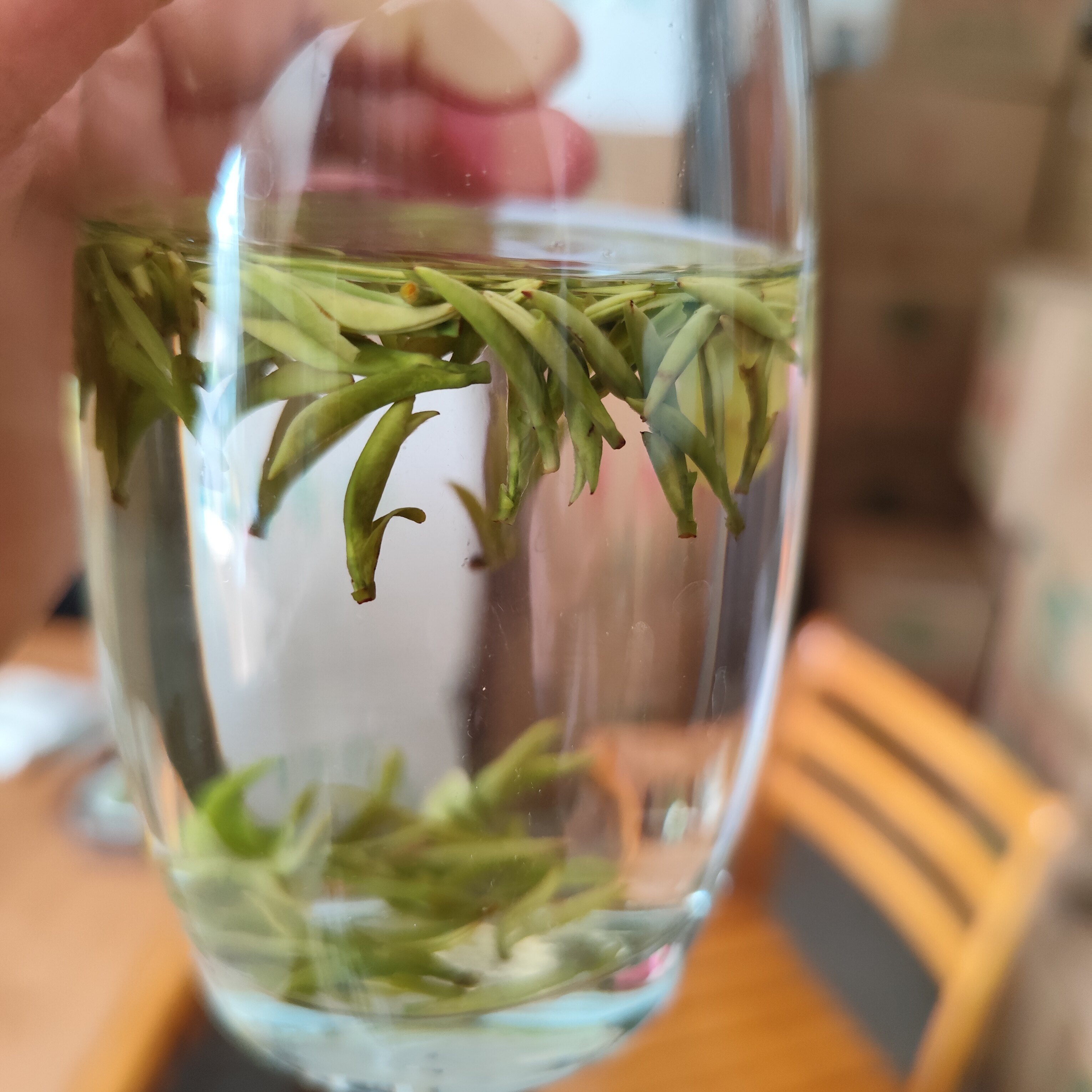 2025明清新茶霍山黄芽特一级牙尖六安茶叶纯手工正宗原产地