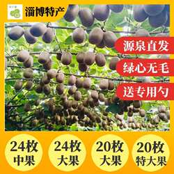 已下市博山源泉绿心猕猴桃奇异果新鲜水果自家当季水果弥猴桃