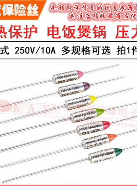 RY温度保险丝管TF 150°/152/155/157/165/169度 电饭锅煲250V10A
