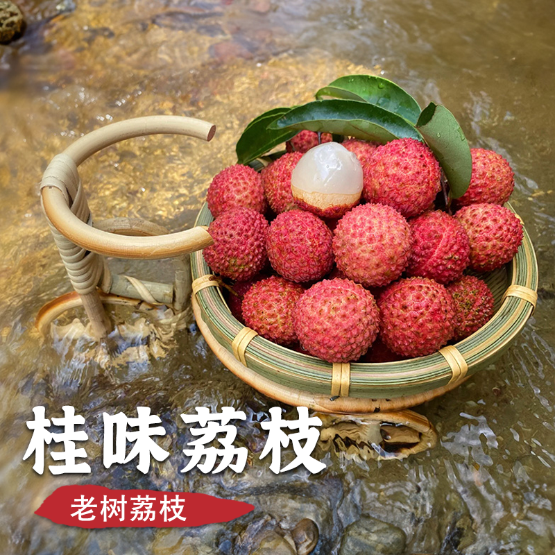 广州正宗从化老树桂味荔枝新鲜当季水果现摘现发空运顺丰2026