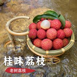 广州正宗从化老树桂味荔枝新鲜当季水果现摘现发空运顺丰2026
