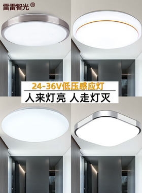 LED低压声控吸顶灯雷达工程过道36v24楼道酒店船屋智能人体感应灯