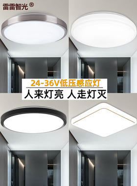 LED声光控吸顶灯雷达工程过道24V12瓦W楼道智能人体感应灯低压36V