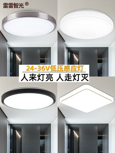 雷雷智光感应灯低压24-36v
