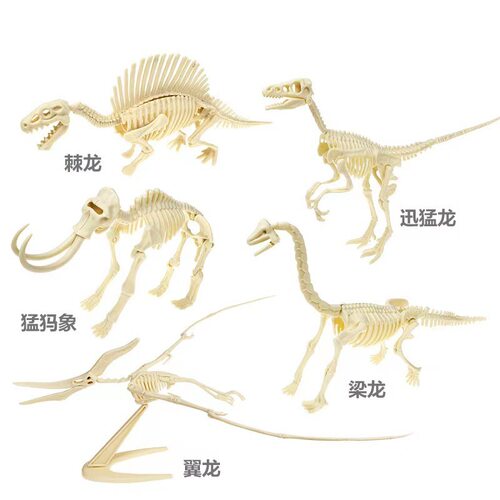 恐龙化石拼装模型恐龙骨架模型