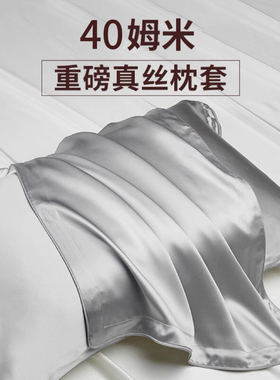 【外贸清仓】40姆米真丝枕套一对桑蚕丝夏季丝绸冰丝枕头套枕巾