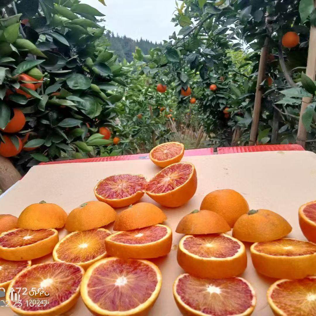 重庆血橙万州玫瑰香橙塔罗科红心橙子纯天然季新鲜孕妇水果果冻橙,水产肉类/新鲜蔬果/熟食,橙,淘宝优惠券,粉丝福利购,淘宝优惠卷
