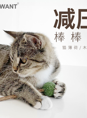 CATWANT/猫咪旺农场猫薄荷球 磨牙洁齿木天蓼虫瘿果猫薄荷洁牙棒