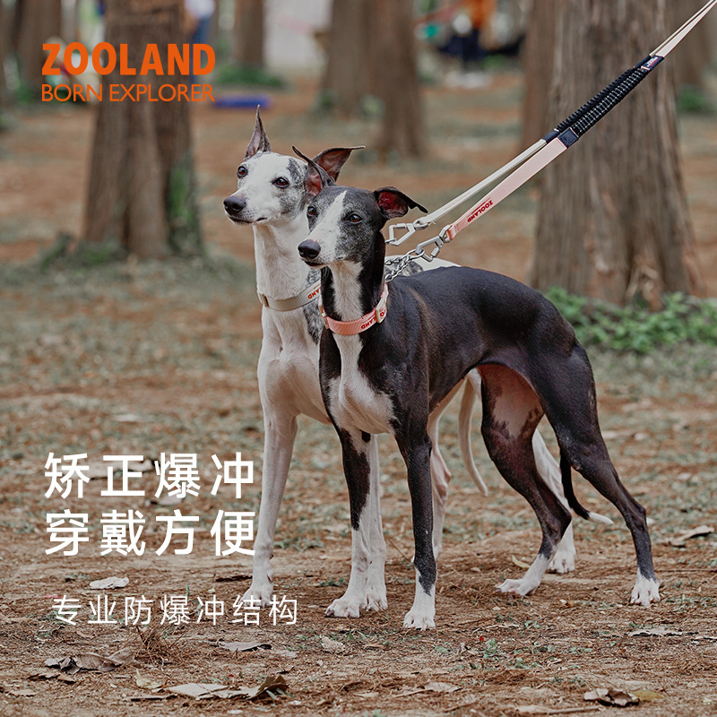 ZOOLAND宠物狗狗脖圈半P链项圈遛小中型犬法斗防爆冲颈圈牵引绳子
