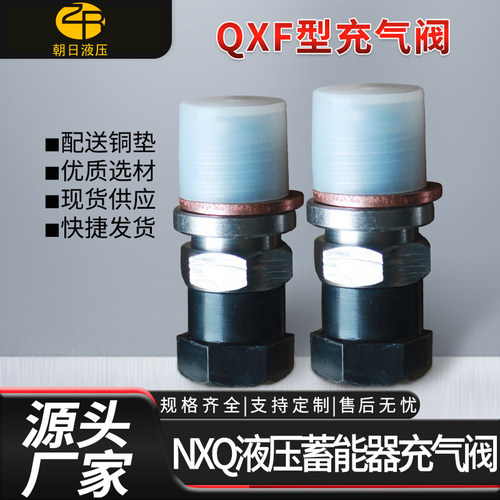 NXQ液压蓄能器充气阀 剪板折机氮气单向阀 QXF-5补气阀气门嘴