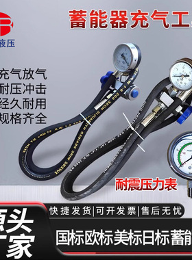 蓄能器充气工具CQJ25MPA折弯机充气工具液压剪板机充氮工具配油表