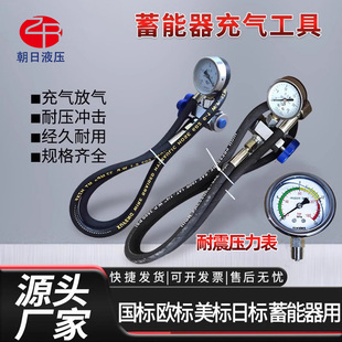 蓄能器充气工具CQJ25MPA折弯机充气工具液压剪板机充氮工具配油表