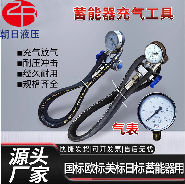 液压蓄能器CQJ-25剪板机充气工具 剪板机充氮工具蓄能器充气工具 - 实物图