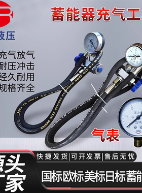 现货液压蓄能器CQJ-25剪板机充气工具 剪板机充氮工具 充气阀25Mp