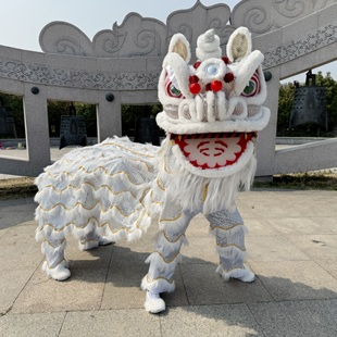 包邮舞龙舞狮道具双人南狮醒狮成人舞狮子道具绣球舞狮子表演整套