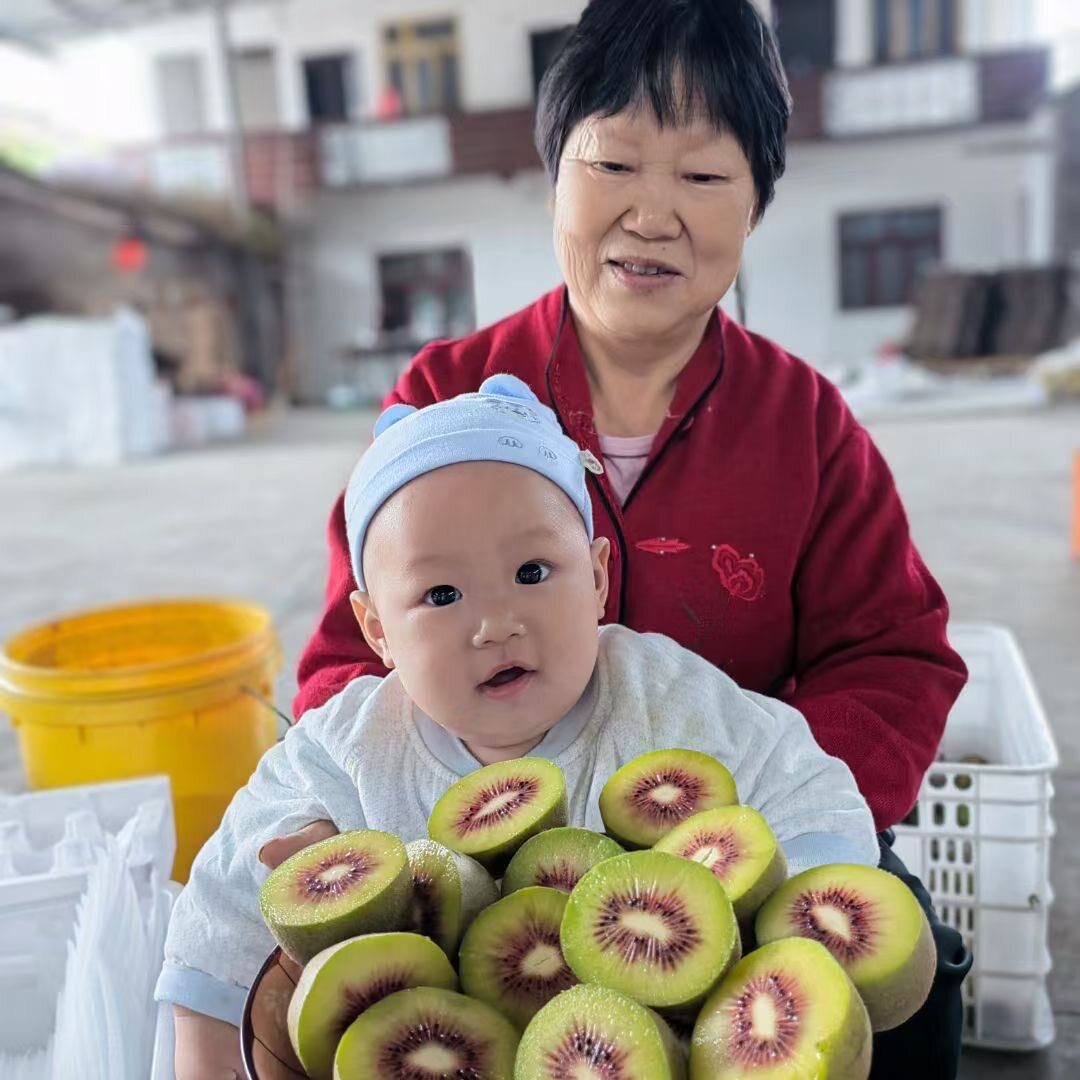 【精品发顺丰】四川蒲江红心猕猴桃原产地果园现摘自然熟孕妇水果