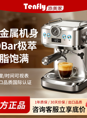 Tenfly意式咖啡机家用小型20Bar浓缩2024复古半自动蒸汽奶泡一体