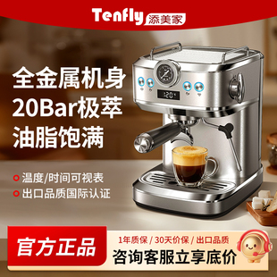 Tenfly意式咖啡机家用小型20Bar浓缩2024复古半自动蒸汽奶泡一体