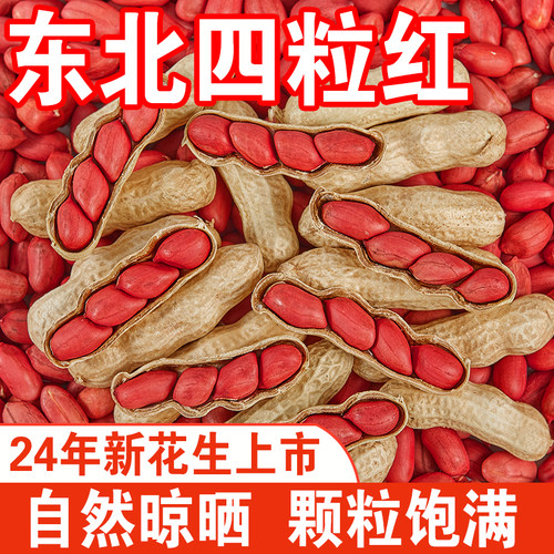 2025红皮花生东北新货红皮花生米带壳晒干红衣仁新鲜种子四粒红衣