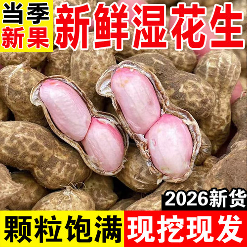 2026新鲜湿花生现挖现发当季新货
