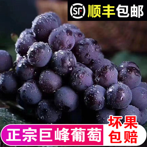 东北巨峰葡萄新鲜水果整箱包邮