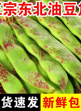 东北正宗油豆角新鲜现摘现发包邮