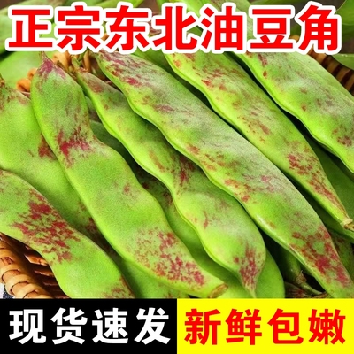 东北正宗油豆角九月青开锅烂新鲜现摘一点红芸豆宽扁豆角5斤包邮