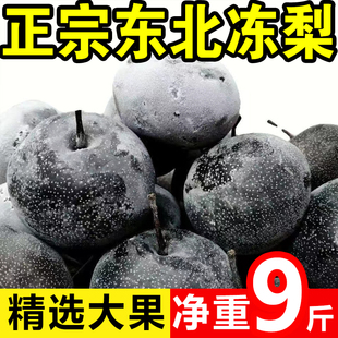 东北冻梨苹果梨冻秋梨花盖梨新鲜应季水果哈尔滨特产整箱邮8斤装