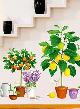 绿色植物花瓶盆栽橘子树墙贴画