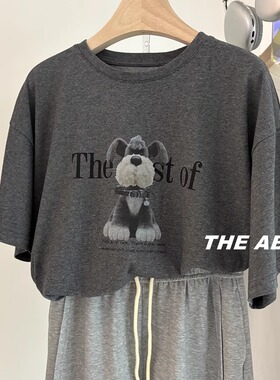 韩版小狗狗字母印花深麻灰休闲宽松减龄圆领短袖T恤内搭新款