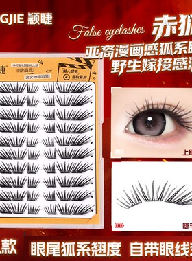 颖睫赤狐免卸分段卷翘假睫毛