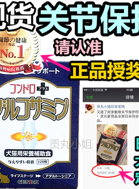 日本现代GENDAI宠物狗狗猫软骨素关节髌骨外翻初期泰迪狗后腿踮脚