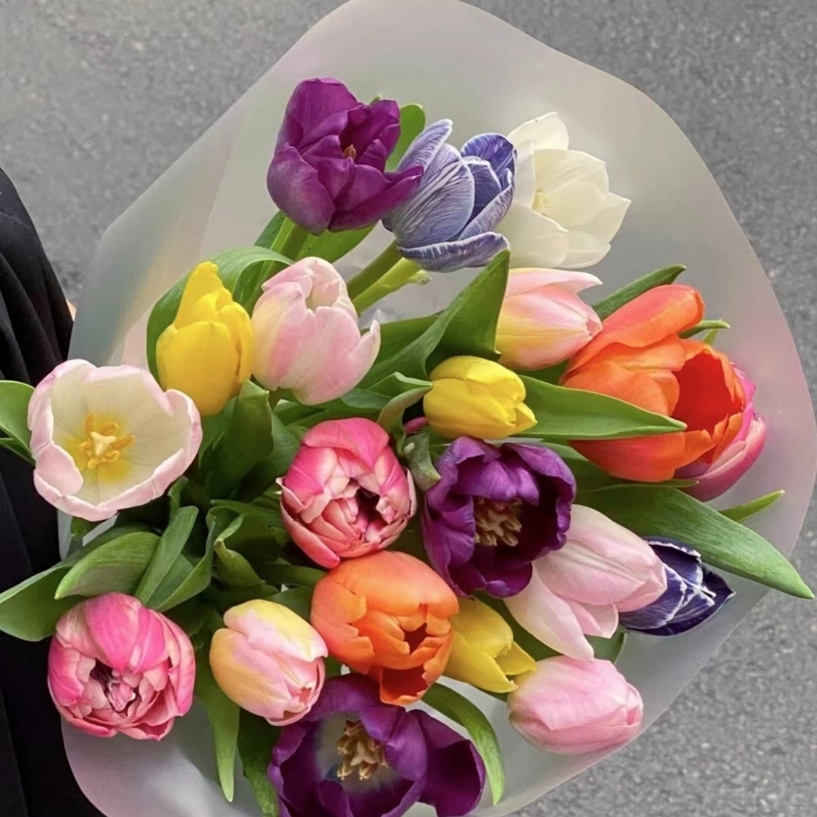 白色粉色混色郁金香鲜切花客厅办公室养花家用送人上海直发包邮