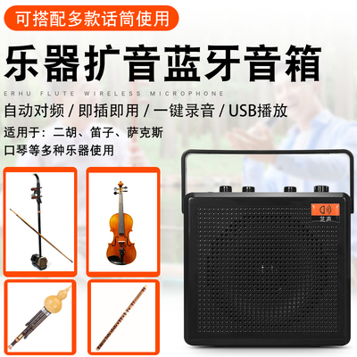 芝声二胡乐器手提音箱