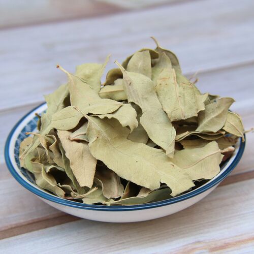 中药材 正品特级罗布麻叶 新疆野生罗布麻茶 新鲜500g克